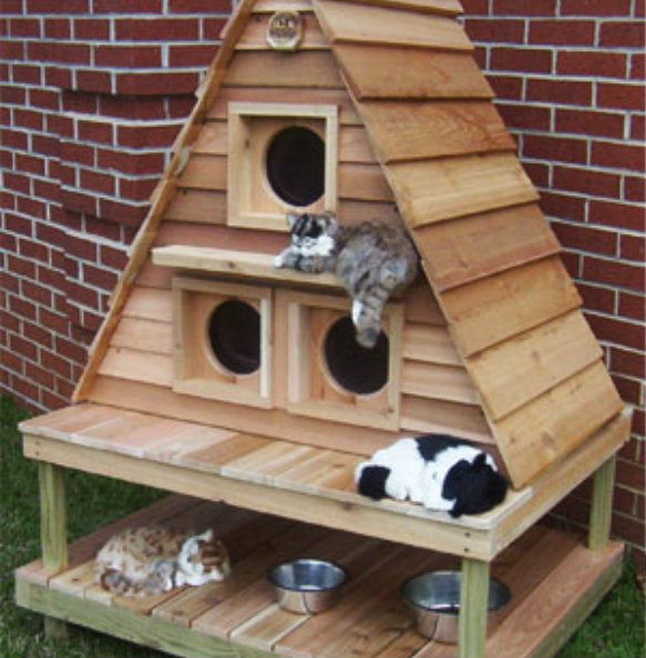 Free Building Cat House Outdoor PDF Download US UK CA